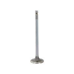 Inlet Valve 1