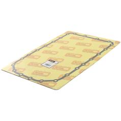 Sump Gasket (3029) 1