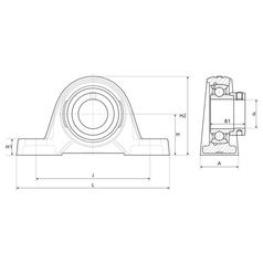 NTN SNR Two-Bolt Pillow Block Bearing (ESPE206) 3