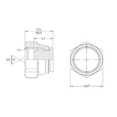Hydraulic Adaptor 5/8\'\' BSP Swivel Blanking Cap 3