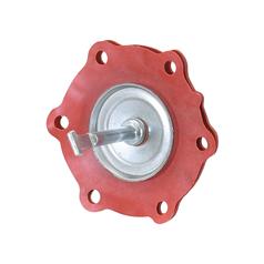 Diaphragm 1