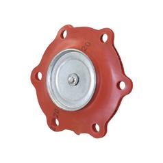 Diaphragm 2
