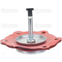 Diaphragm 3