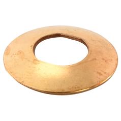 Thrust Washer 1