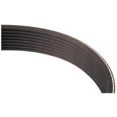 Poly V / Multi-Rib Belt - PK Section - Belt No. 8PK3000 1