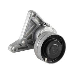 INA Belt Tensioner 1