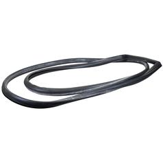 Door Glass Seal  RH 1
