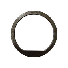 Thrust Washer 1