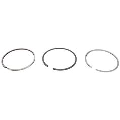 Piston Ring Standard 1