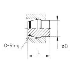 Sparex End Plug with O-Ring 22L 4