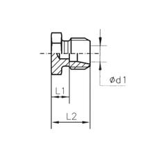 Sparex Metric Male Blanking Plug with 24° Cone 22L 4