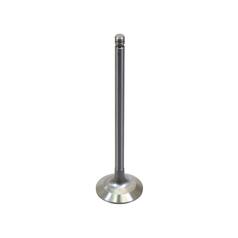Inlet Valve 1