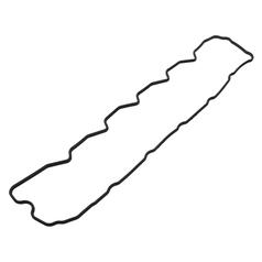 Rocker Cover Gasket 1