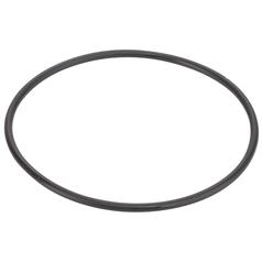 O Ring 1