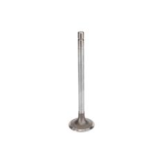 Exhaust Valve 1