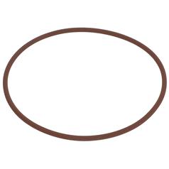 O Ring 1
