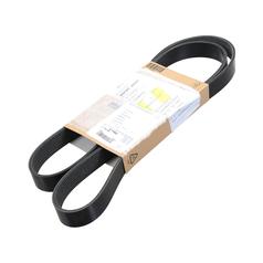Drive Belt 1