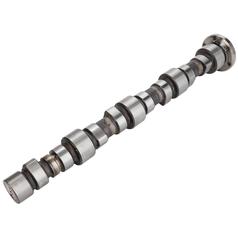 Camshaft 1