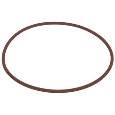 O Ring 1