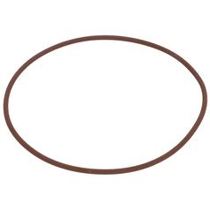 O Ring 1