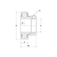 Sparex Bearing Insert (ES207) 4