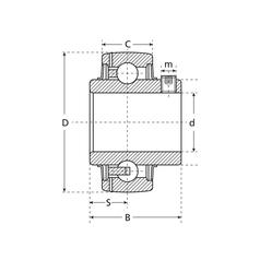 Sparex Bearing Insert (UC211) 4