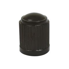 TYRE VALVE CAP-PLASTIC 1