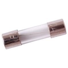 Mini Glass Fuse 10 Blow Rating 1