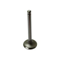 Inlet Valve 1