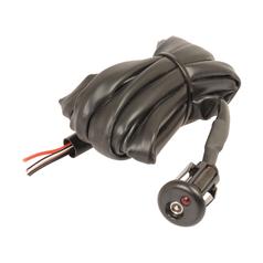 Electric Immobiliser 2