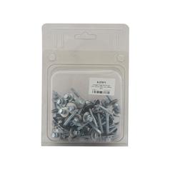 Agripak 50 pcs. HexH TEK Screws, 5.5x38mm 2