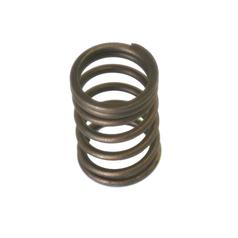 Valve Spring - Inner 1