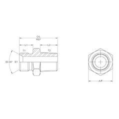Hydraulic Adaptor 1/4\'\' BSP Male x 1/4\'\' BSPT Male 3