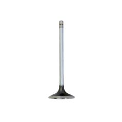 Inlet Valve 1