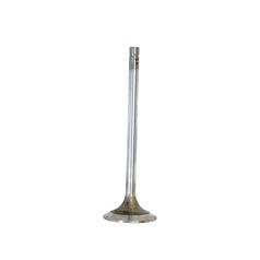 Exhaust Valve Standard 1