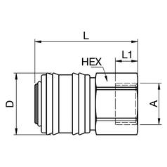 Coupler Female BSPP - 3/8\'\' 2