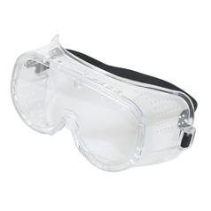Safety Goggles 1