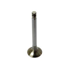 Exhaust Valve 1