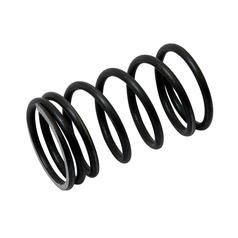 Valve Spring - Outer 1