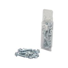 Agripak 20 pcs. Serated Flange Bolt M10x40mm 1