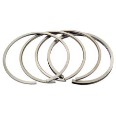 Piston Ring Standard 1