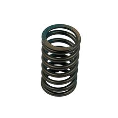 Valve Spring - Outer 1