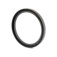 Oil Seal 2