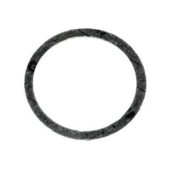 Thermostat Gasket 1