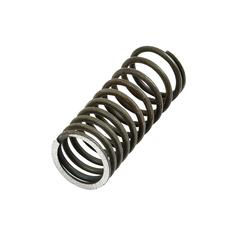 Spring Valve - Inlet 1