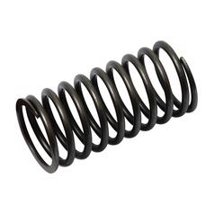 Valve Spring - Outer 1