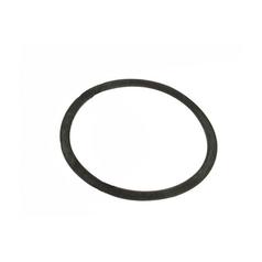 Thermostat Gasket 1