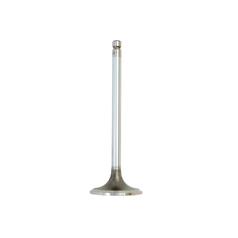 Inlet Valve 1