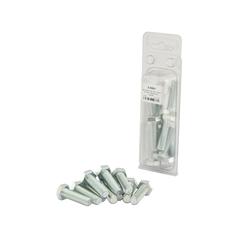 Agripak 10 pcs. Metric Bolt, M12x40mm 1