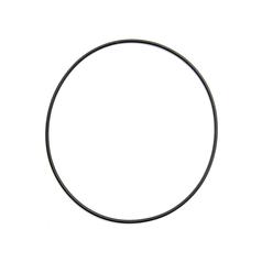 O Ring 1